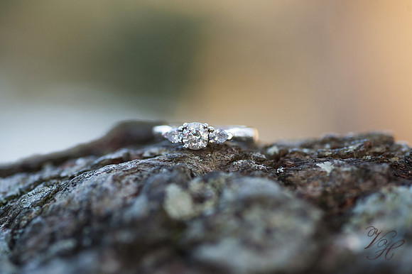 Jacksonville Engagement Photos-63