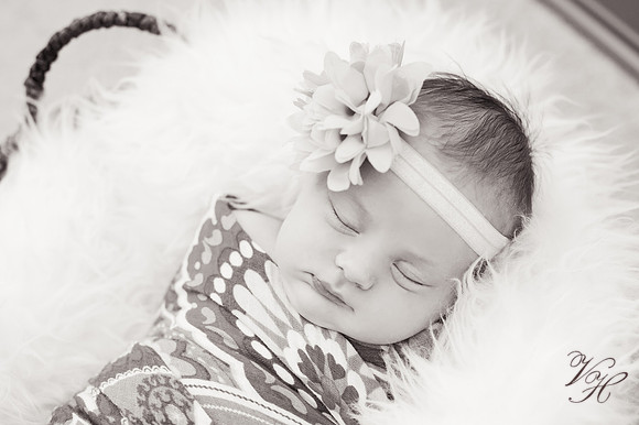 Madelyn.bw-65