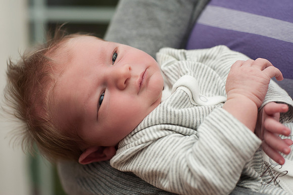 Jacksonville Newborn Photos-25