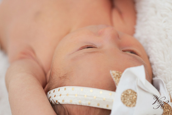 Fleming Island Newborn Photos-50