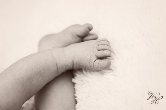 Fleming Island Newborn Photos-49