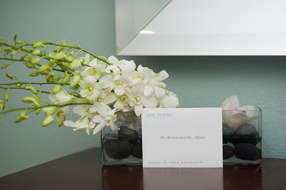 Jacksonville Wedding Photography-4