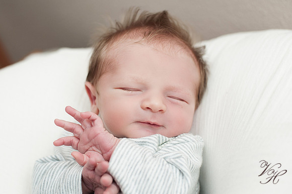 Jacksonville Newborn Photos-22