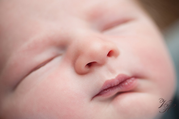 Jacksonville Newborn Photos-9