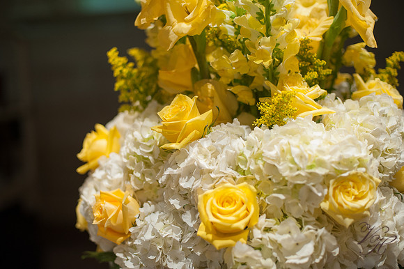 Louisville Wedding Photography-414
